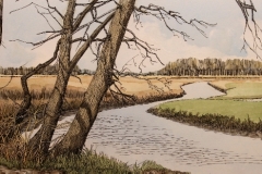 Drentsche Aa bij Schipborg3