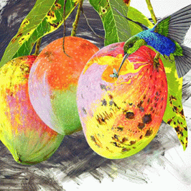 Hummingbird with Mangos