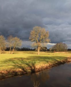Landschappen